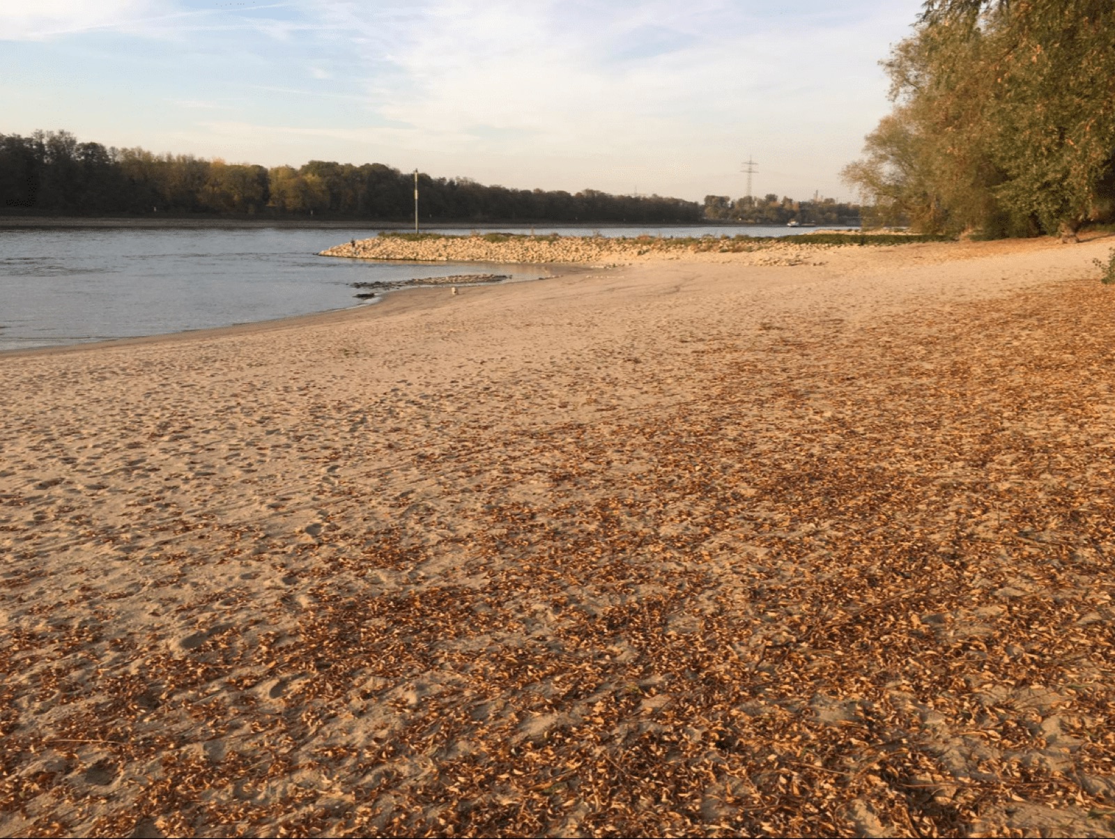 Strand Terrasse 2018 — Bild 4